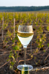 Tasting of grand cru sparkling brut white wine champagne on sunny vineyards of Cote des Blancs in village Cramant, Champagne, France, glass of wine on vineyard