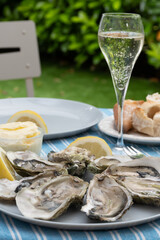 Fresh french oysters molluscs from Arcachon bay served on oysters farm in Gujan-Mestras, with lemon, baquette bread, butter and champagne dry wine