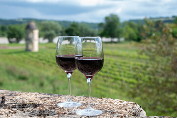 Glasses of french dry red wine in old wine domain on Graves vineyards in Portets village and old castle on background, Bordeaux, France