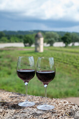 Glasses of french dry red wine in old wine domain on Graves vineyards in Portets village and old castle on background, Bordeaux, France