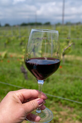 Tasting of red Cahors wine on vineyard, summer in Cahors wine making region in France, weekend background
