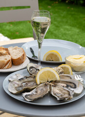 Champagne sparkling wine in glasses and oysters from Arcachon bay served on oysters farm in Gujan-Mestras, with lemon, baquette bread, butter