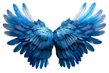 Fototapeta premium Blue Wing Model Overview Anatomy, Flight Dynamics, and Behavior - Insights into Avian Adaptations, Transparent Background