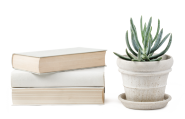 stack of books and a potted succulent isolated over a transparent background, blank / empty wall mockup, bright neutral colors, reading, office, lifestyle or interior design elements, shelf or table 