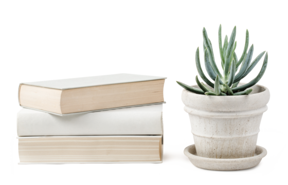 stack of books and a potted succulent isolated over a transparent background, blank / empty wall mockup, bright neutral colors, reading, office, lifestyle or interior design elements, shelf or table 