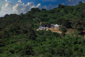 Southern cityscape, view of buildings and houses with green plants in public places in Turkey, sunny summer day in the city of Istanbul