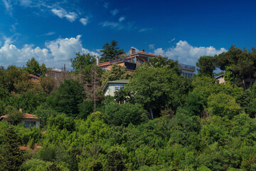 Southern cityscape, view of buildings and houses with green plants in public places in Turkey, sunny summer day in the city of Istanbul