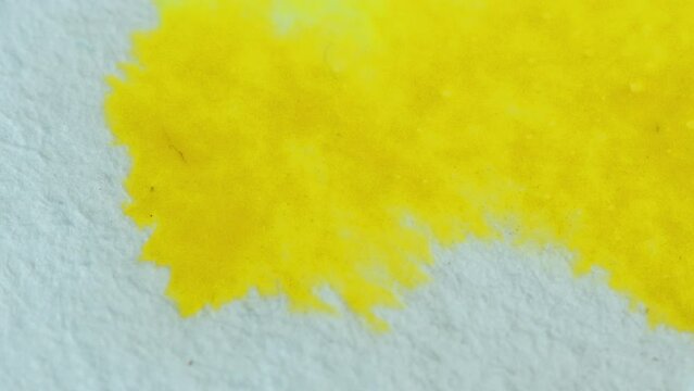 Applying fluid watercolor paint of bright yellow color to paper with thin paintbrush. Macro zoom shot