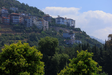 Fototapeta premium Southern cityscape, view of buildings and houses with green plants in public places in Turkey, sunny summer day in the city of Istanbul