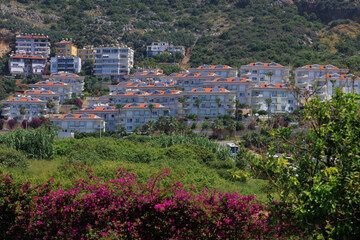 Obraz premium Southern cityscape, view of buildings and houses with green plants in public places in Turkey, sunny summer day in the city of Istanbul