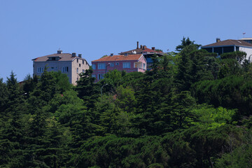 Cityscape, view of buildings and houses with green plants in public places in Turkey, sunny summer...