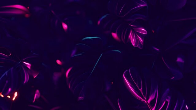 Neon tropical leaves. Color exotic tree and plant leaf, colorful palm leaves. Leaf floral tropical, rainforest foliage exotic, fashion botanical neon lights 4k video