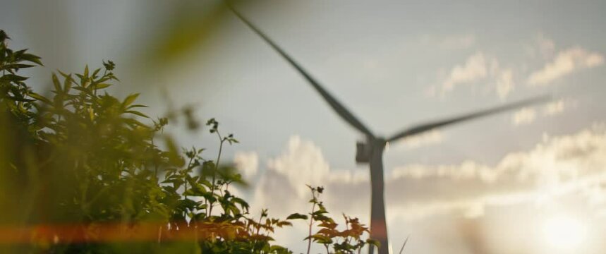 Footage of green grass in foreground outdoors. Blurred view of wind turbine generating clean renewable energy during sunset in field. Out of town. Countryside