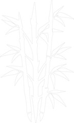bamboo shoots outline