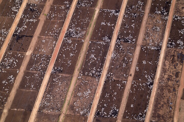 Aerial drone view of cattle grazing on giant feedlot livestock confinement farm in Amazon, Para, Brazil. Concept of agriculture, environment, ecology, economy, deforestation and beef meat production.	