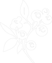 blueberry outline