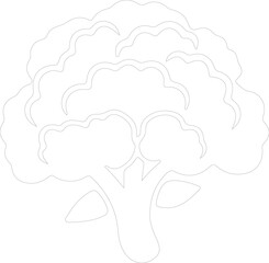cauliflower outline