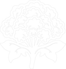 cauliflower outline