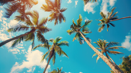 Blue sky and palm trees view from below, vintage style, tropical beach and summer background