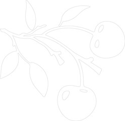 Fototapeta premium cherry outline