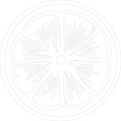 Obraz premium citron outline