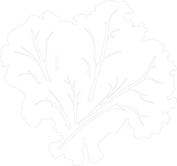 collard greens outline