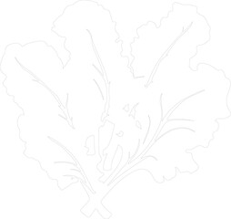 collard greens outline