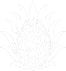 Obraz premium dragon fruit outline