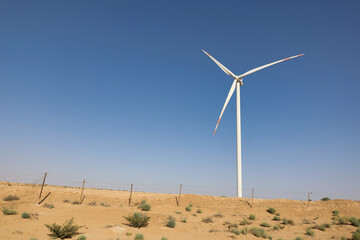 wind turbine for green energy production in desert area