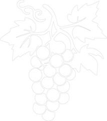 Fototapeta premium grape outline