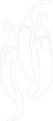 hot chili peppers outline