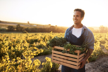 Agro, crate and thinking with man on farm for agribusiness, growth or sustainability. Future, idea...