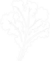 kale outline