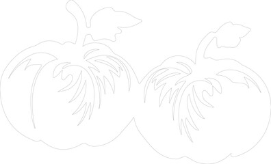pattypan squash outline