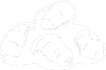 potato outline