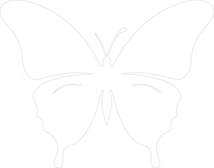 Ulysses butterfly outline