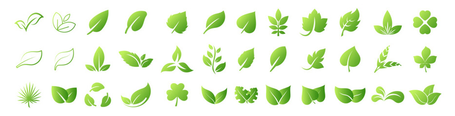 Green leaf icons set. Green leaf ecology nature element vector icon, Leaf Icon, green leaf ecology nature element vector