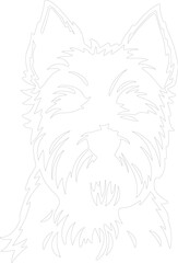 Fototapeta premium west highland white terrier outline