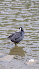 Various Photos from Mamak Üreğil National Garden.