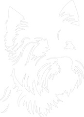Obraz premium west highland white terrier outline