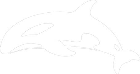 Obraz premium whale outline