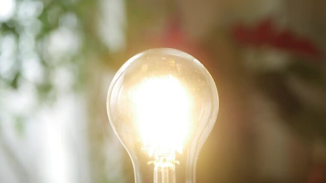 One Person Screws a Led Light Bulb in the Socket and Turn On the Light in the Room. Saving Energy Concept Using Led Bulb.