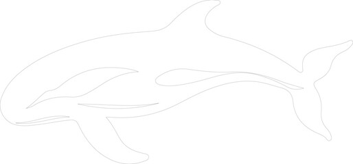 whale outline