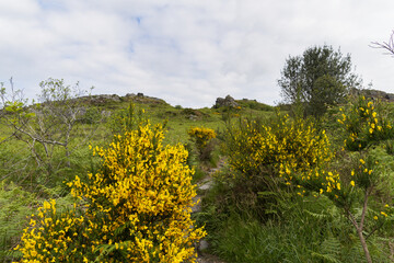 Le Roc'h Trevezel, second sommet des monts d'Arr&eacute;e dans le Massif armoricain breton, offre des paysages uniques avec ses bruy&egrave;res, gen&ecirc;ts et cr&ecirc;tes rocheuses.
