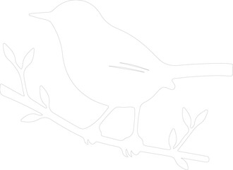 Fototapeta premium wren outline