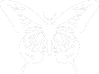 zebra swallowtail butterfly outline