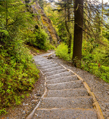 The Alum Cave Trail on Mt. LeConte, Great Smoky Mountains National Park, Tennessee, USA