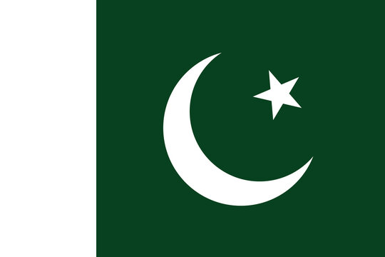 Pakistan flag. Flag of Pakistan