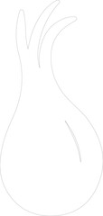 shallot outline