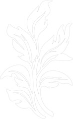 Obraz premium spinach outline